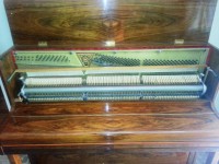 MAQUINA NUEVA