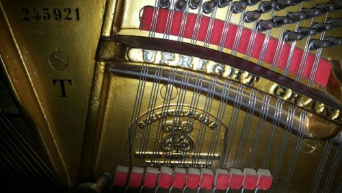 IMG-20170508-WA0010