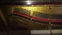 IMG-20170508-WA0007