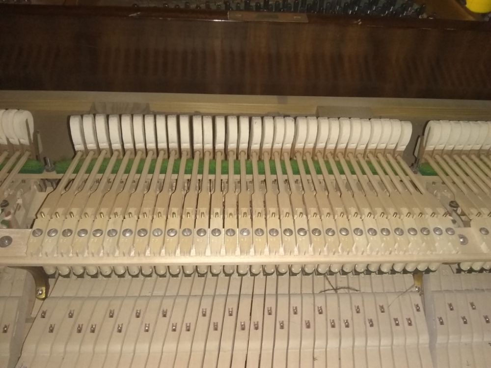 IMG_20200521_163934742