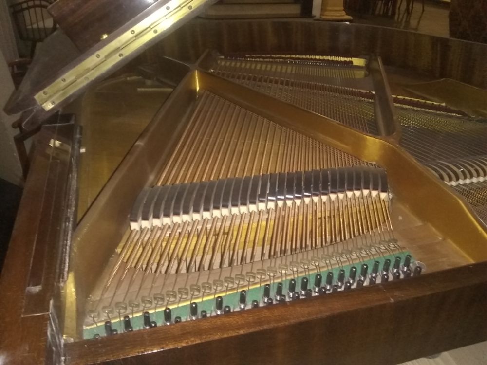 IMG_20200521_164545817