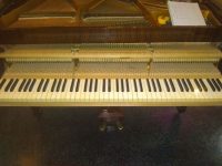 IMG_20200521_163851789