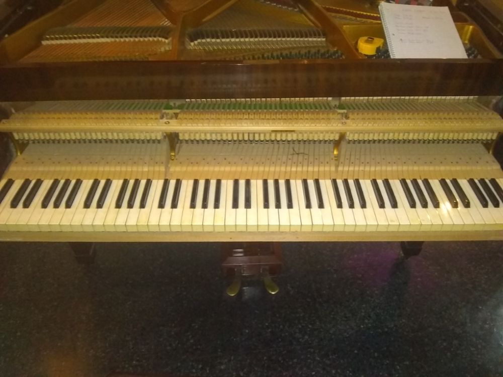 IMG_20200521_163851789