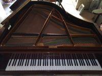 IMG_20200912_154950_261_compress72