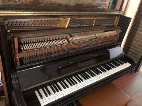 WhatsApp Image 2021-01-25 at 12.53.44