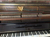 WhatsApp Image 2021-01-25 at 12.53.46 (1)