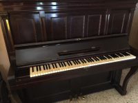 WhatsApp Image 2021-03-06 at 21.35.11