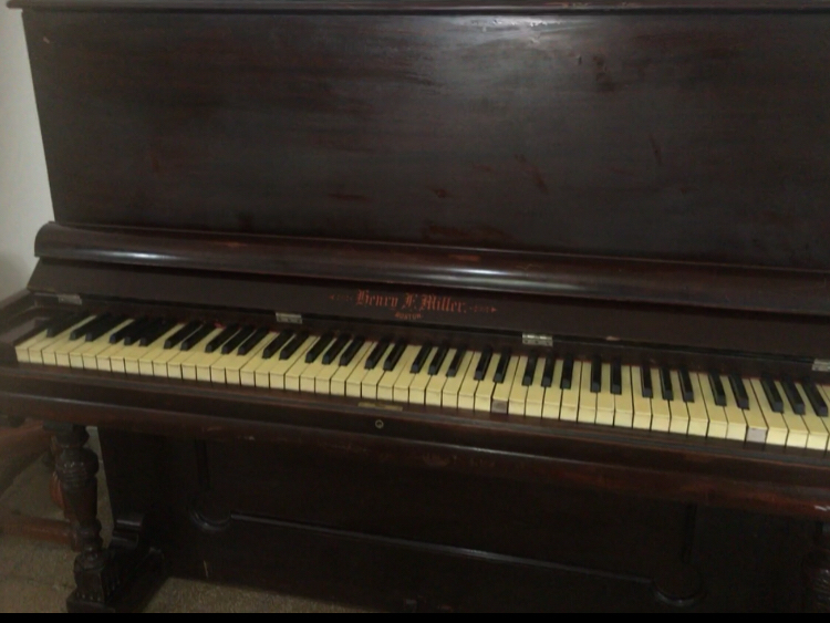 22CACEF7-552E-4F97-94FB-7BFB0AD8E40C