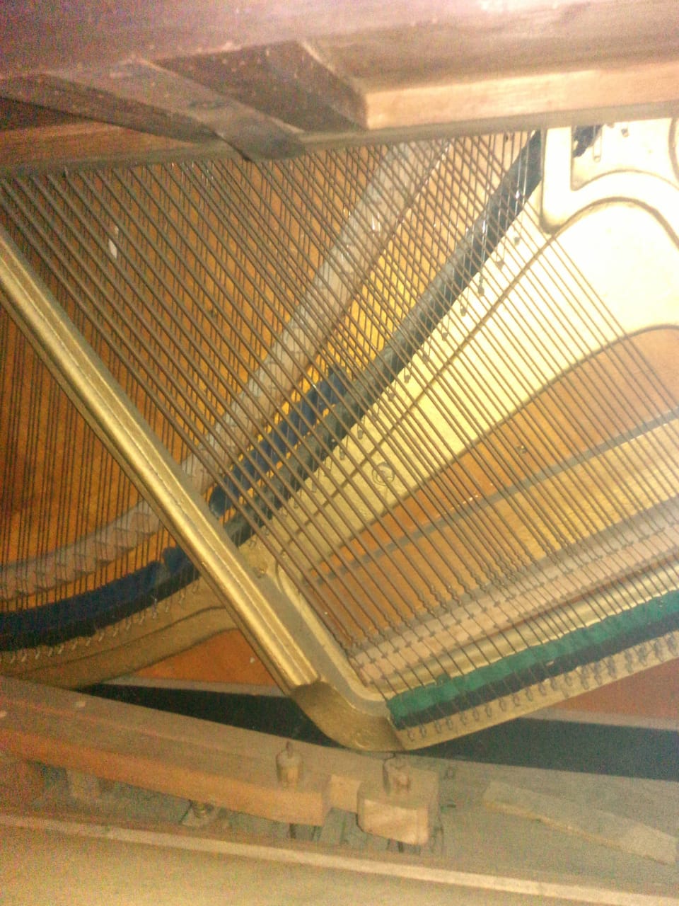 IMG-20211211-WA0196 (2)