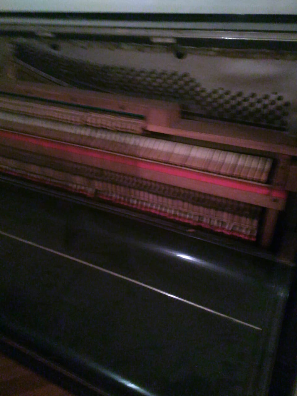 IMG-20211211-WA0194 (2)