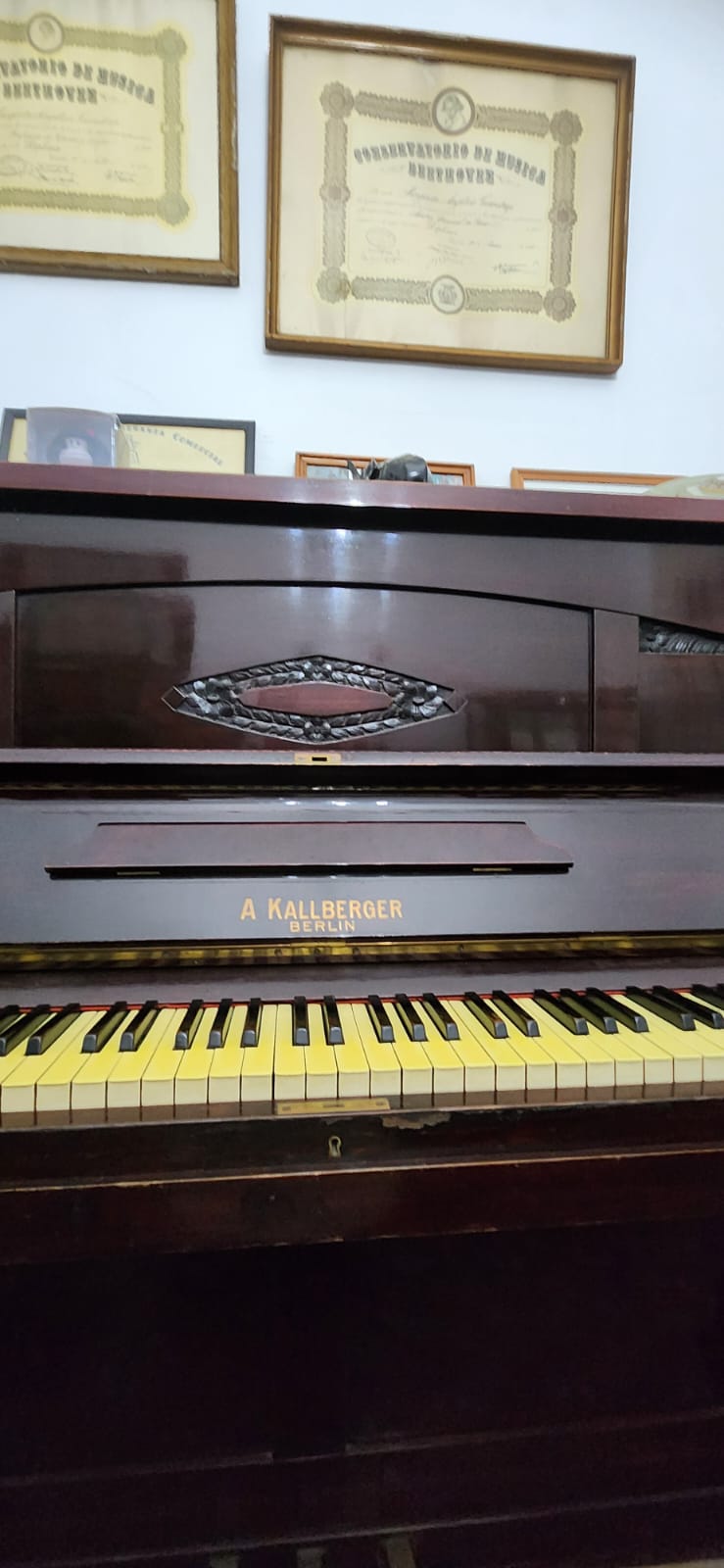 WhatsApp Image 2026-03-18 at 14.13.43 (1)