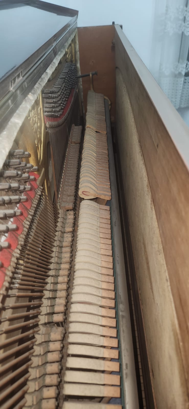 WhatsApp Image 2026-03-18 at 14.13.44 (1)