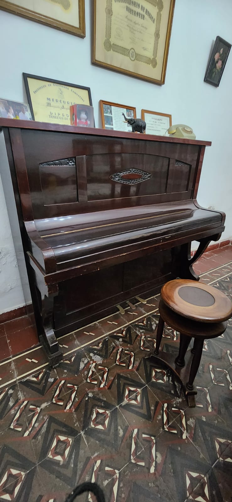 WhatsApp Image 2026-03-18 at 14.13.44