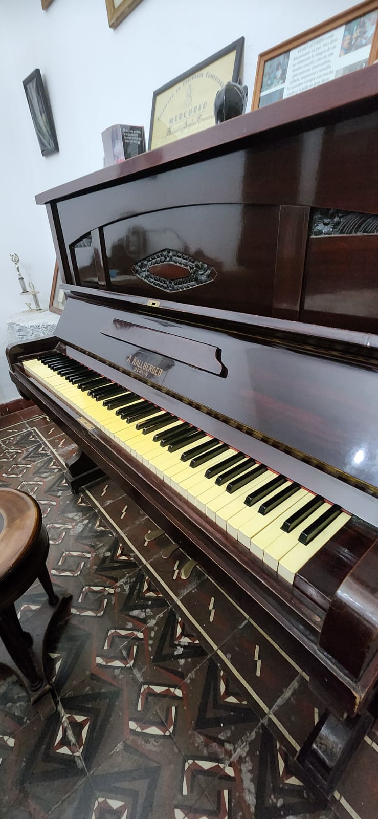 WhatsApp Image 2026-03-18 at 14.13.43