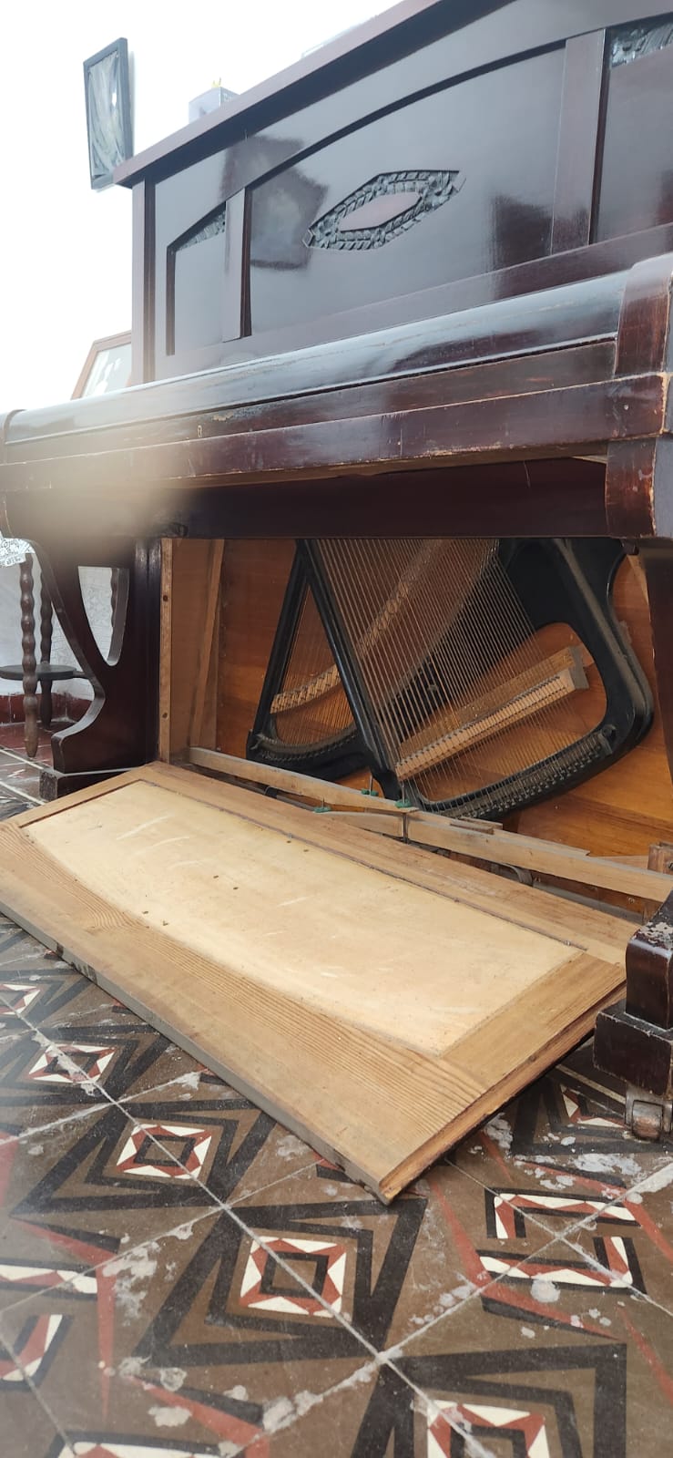 WhatsApp Image 2026-03-18 at 14.13.45 (1)